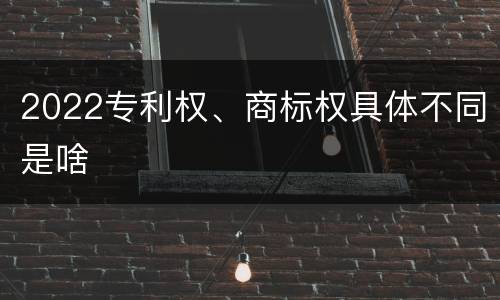 2022专利权、商标权具体不同是啥