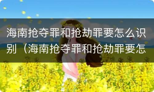 海南抢夺罪和抢劫罪要怎么识别（海南抢夺罪和抢劫罪要怎么识别的）