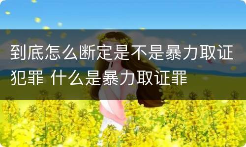 到底怎么断定是不是暴力取证犯罪 什么是暴力取证罪
