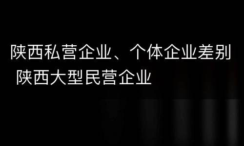 陕西私营企业、个体企业差别 陕西大型民营企业