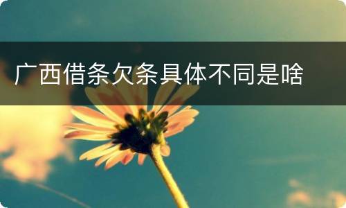广西借条欠条具体不同是啥