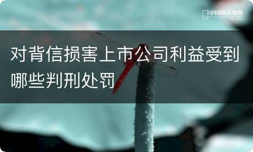对背信损害上市公司利益受到哪些判刑处罚