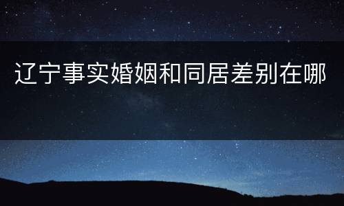辽宁事实婚姻和同居差别在哪