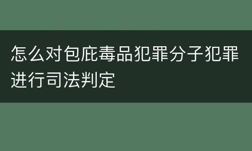 怎么对包庇毒品犯罪分子犯罪进行司法判定