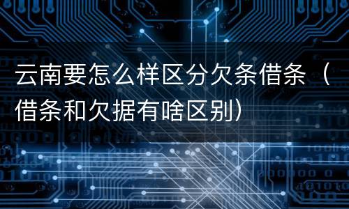 云南要怎么样区分欠条借条（借条和欠据有啥区别）