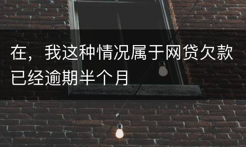 在，我这种情况属于网贷欠款已经逾期半个月