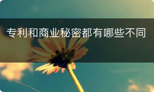 专利和商业秘密都有哪些不同