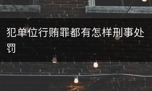 犯单位行贿罪都有怎样刑事处罚