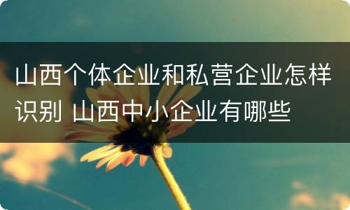 山西个体企业和私营企业怎样识别 山西中小企业有哪些