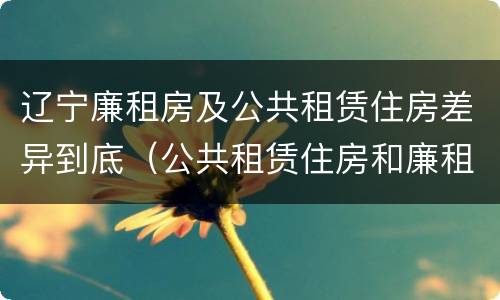 辽宁廉租房及公共租赁住房差异到底（公共租赁住房和廉租房）