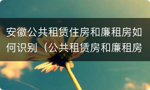 安徽公共租赁住房和廉租房如何识别（公共租赁房和廉租房区别）