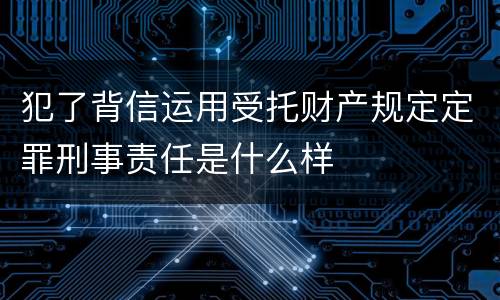 犯了背信运用受托财产规定定罪刑事责任是什么样