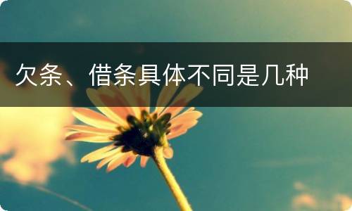 欠条、借条具体不同是几种
