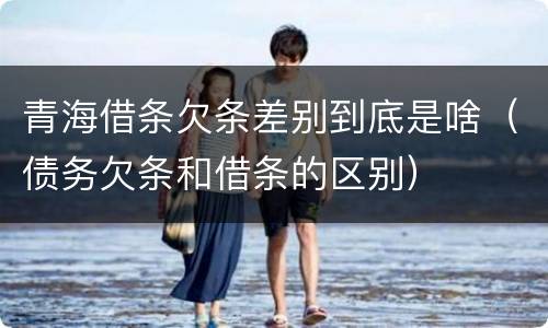 青海借条欠条差别到底是啥（债务欠条和借条的区别）