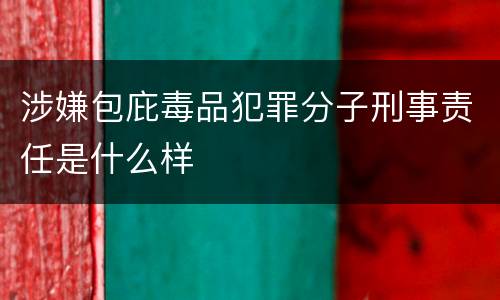 涉嫌包庇毒品犯罪分子刑事责任是什么样