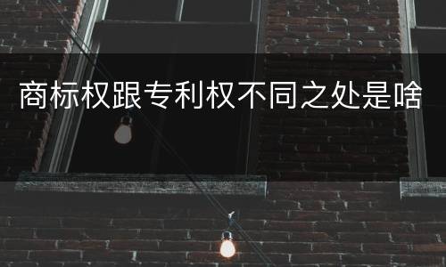 商标权跟专利权不同之处是啥