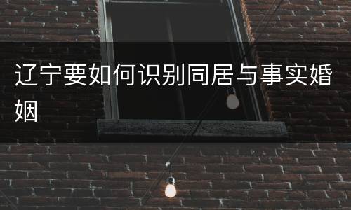 辽宁要如何识别同居与事实婚姻