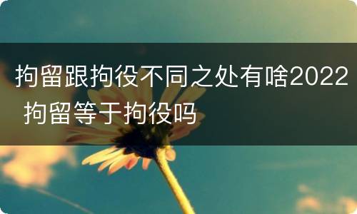 拘留跟拘役不同之处有啥2022 拘留等于拘役吗