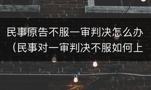 民事原告不服一审判决怎么办（民事对一审判决不服如何上诉）