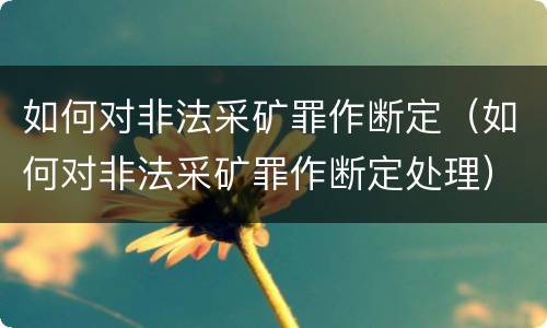 如何对非法采矿罪作断定（如何对非法采矿罪作断定处理）