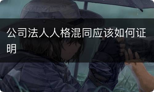 公司法人人格混同应该如何证明