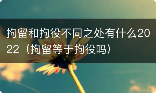 拘留和拘役不同之处有什么2022（拘留等于拘役吗）