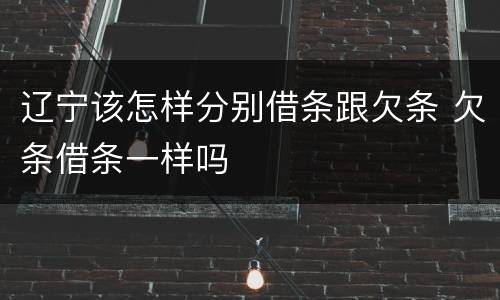 辽宁该怎样分别借条跟欠条 欠条借条一样吗