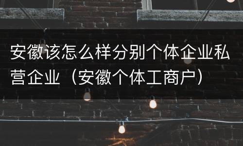 安徽该怎么样分别个体企业私营企业（安徽个体工商户）