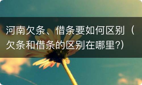 河南欠条、借条要如何区别（欠条和借条的区别在哪里?）