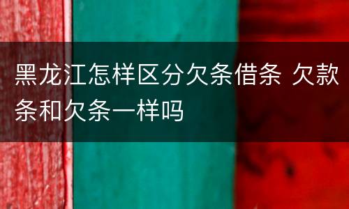 黑龙江怎样区分欠条借条 欠款条和欠条一样吗