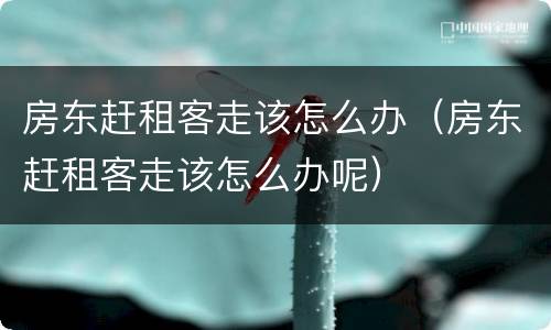 房东赶租客走该怎么办（房东赶租客走该怎么办呢）