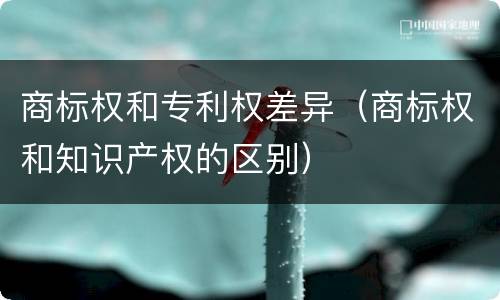 商标权和专利权差异（商标权和知识产权的区别）