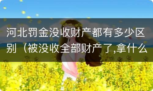 河北罚金没收财产都有多少区别（被没收全部财产了,拿什么交罚金）