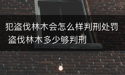 犯盗伐林木会怎么样判刑处罚 盗伐林木多少够判刑