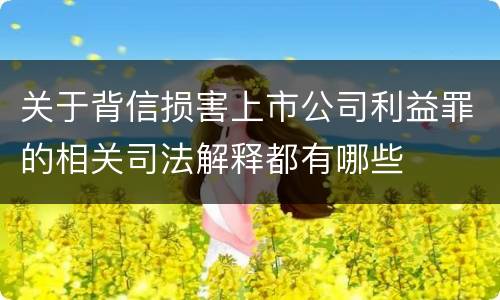 关于背信损害上市公司利益罪的相关司法解释都有哪些
