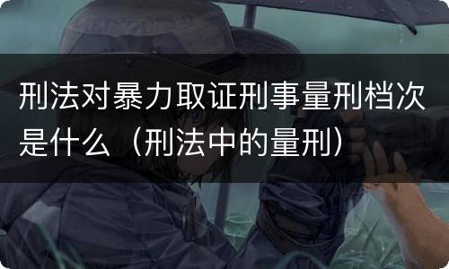 刑法对暴力取证刑事量刑档次是什么（刑法中的量刑）