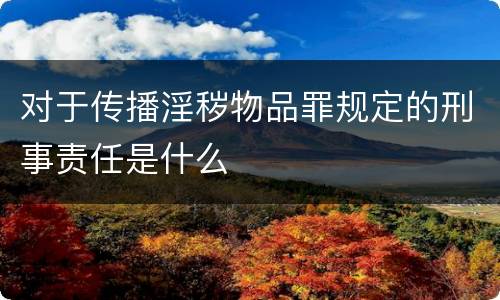 对于传播淫秽物品罪规定的刑事责任是什么