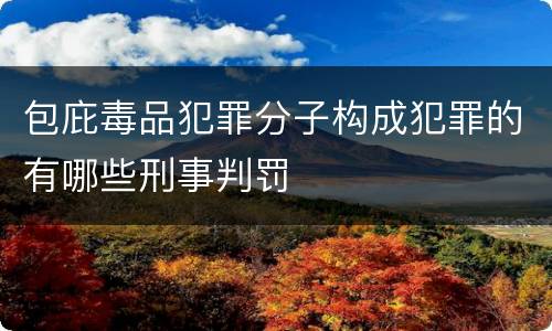 包庇毒品犯罪分子构成犯罪的有哪些刑事判罚