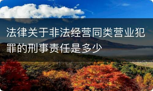 法律关于非法经营同类营业犯罪的刑事责任是多少