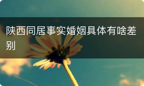 陕西同居事实婚姻具体有啥差别