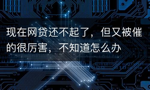 现在网贷还不起了，但又被催的很厉害，不知道怎么办