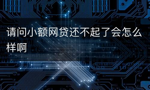 请问小额网贷还不起了会怎么样啊
