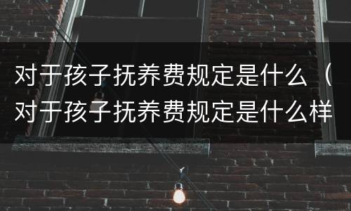 对于孩子抚养费规定是什么（对于孩子抚养费规定是什么样的）