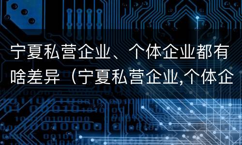宁夏私营企业、个体企业都有啥差异（宁夏私营企业,个体企业都有啥差异吗）