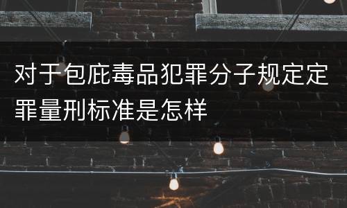 对于包庇毒品犯罪分子规定定罪量刑标准是怎样