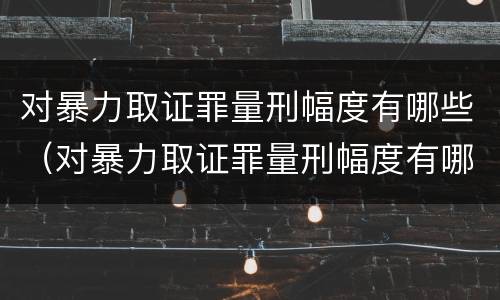 对暴力取证罪量刑幅度有哪些（对暴力取证罪量刑幅度有哪些标准）