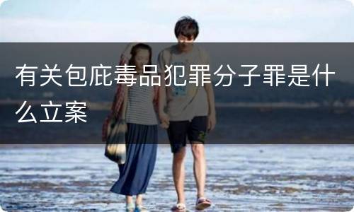 有关包庇毒品犯罪分子罪是什么立案