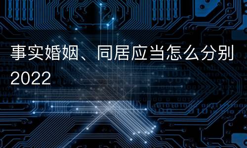 事实婚姻、同居应当怎么分别2022
