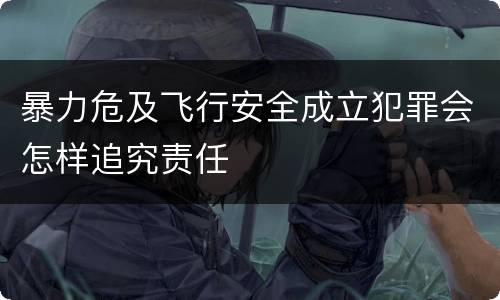 暴力危及飞行安全成立犯罪会怎样追究责任