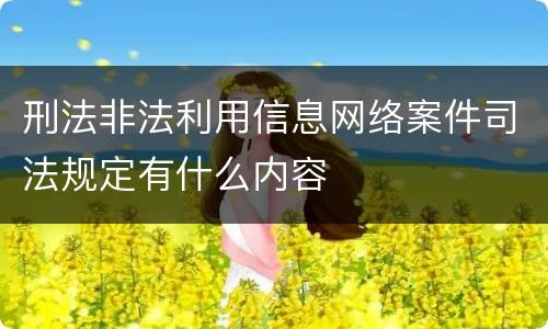 刑法非法利用信息网络案件司法规定有什么内容